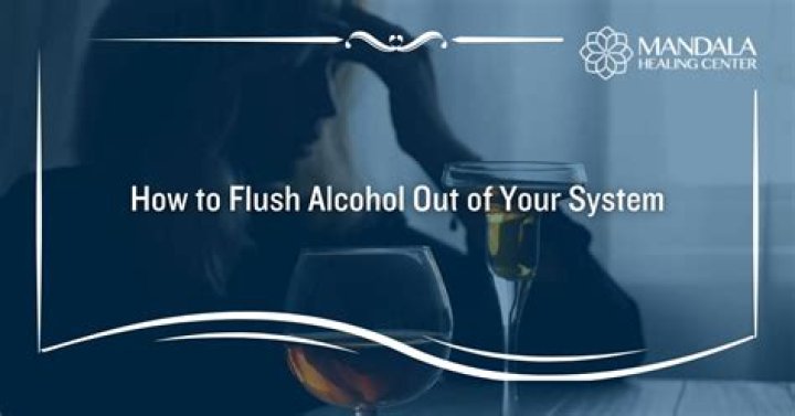 Does drinking water flush alcohol from your system