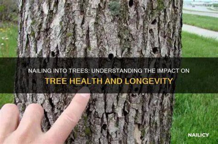 Does nailing into a tree harm it