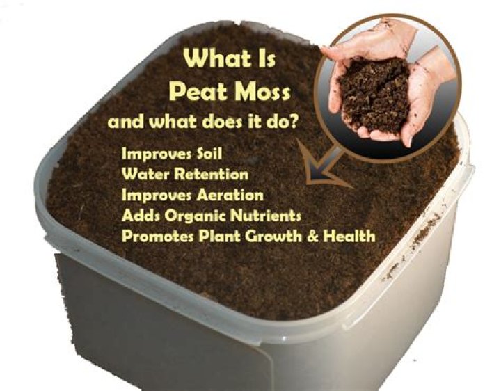 How do you grow grass with peat moss